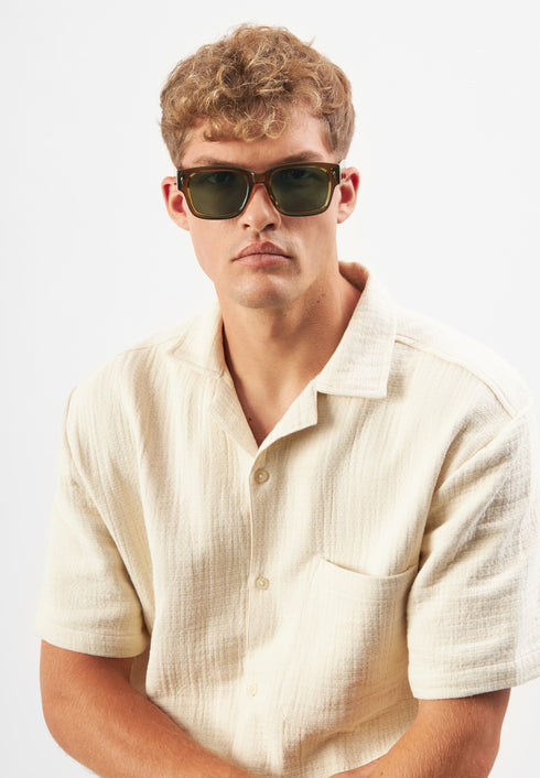 Montana Transparent Brown